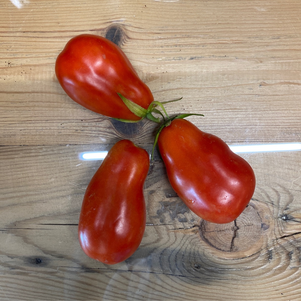 exist green Tomatoes, San Marzano (and other varieties)