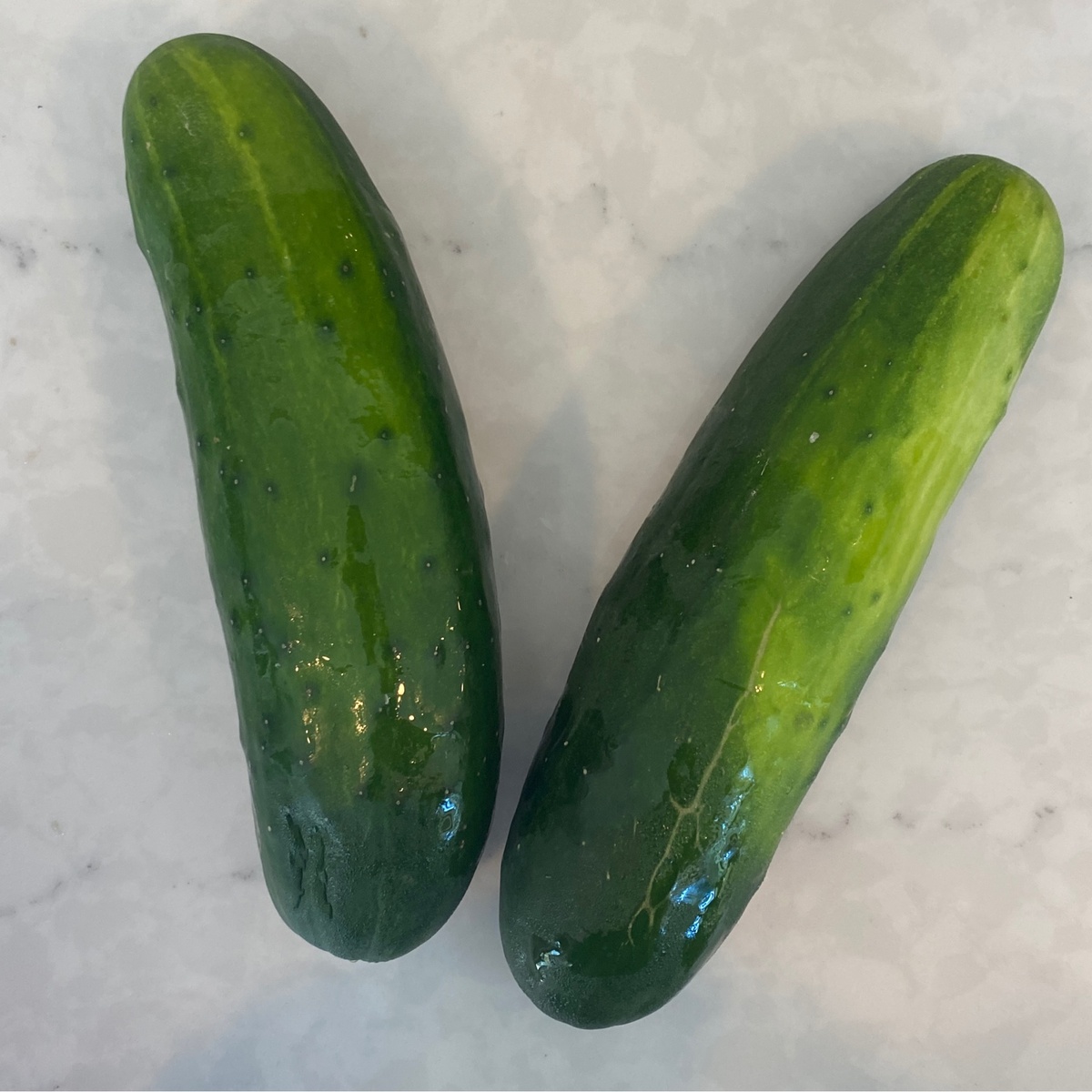 Wolff Farms Cucumbers (Each) organic swallows nest farms