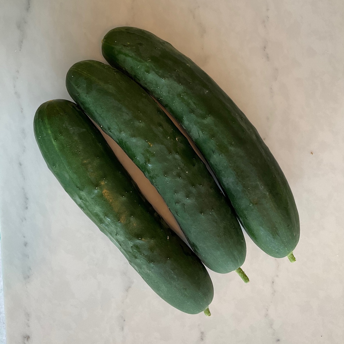 Meristem Farm Cucumbers, Organic (Each) organic swallows nest farms