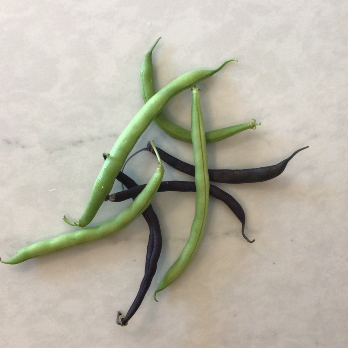 Wolff Farms Green Beans
