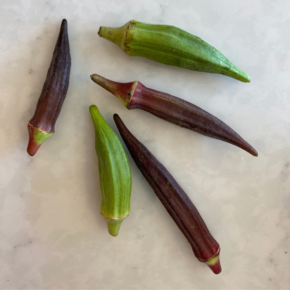 Camp Creek Organic Produce Okra, USDA Organic