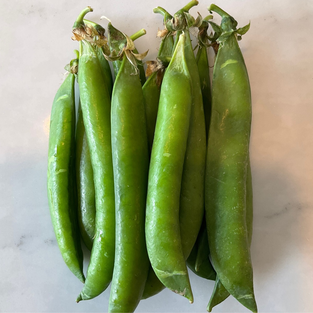 Z Farm Peas, English Shelling (80c/oz) locally sourced