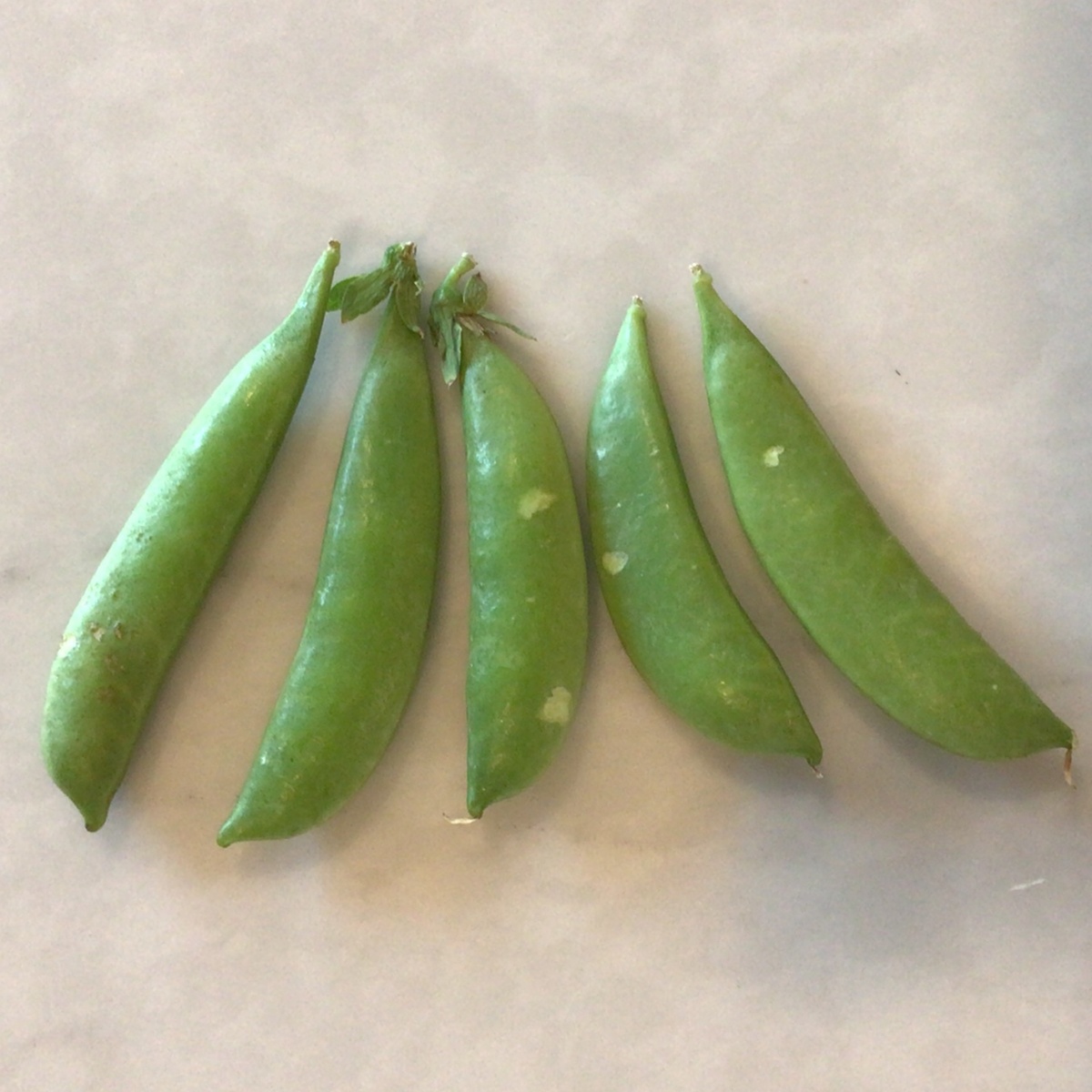 Robinette Farm Peas, Sugar Snap (0.9c/oz)