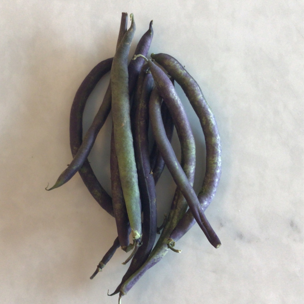 One Farm Purple Beans ($0.4/oz)