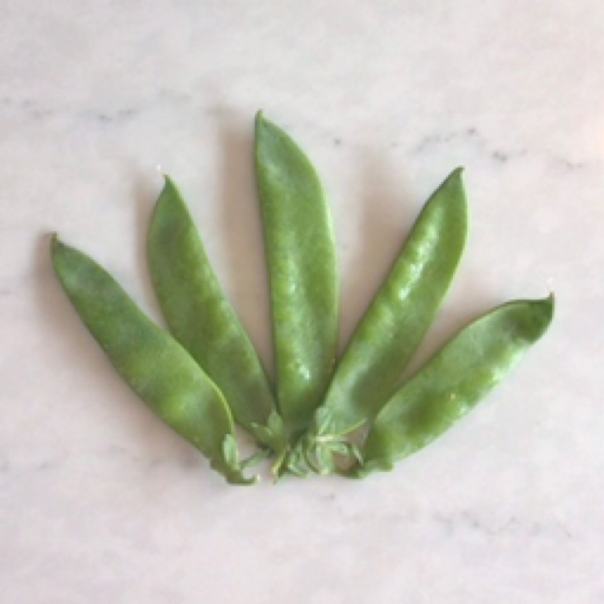 Meristem Farm and Nursery Snow Peas, Organic (75c/oz)