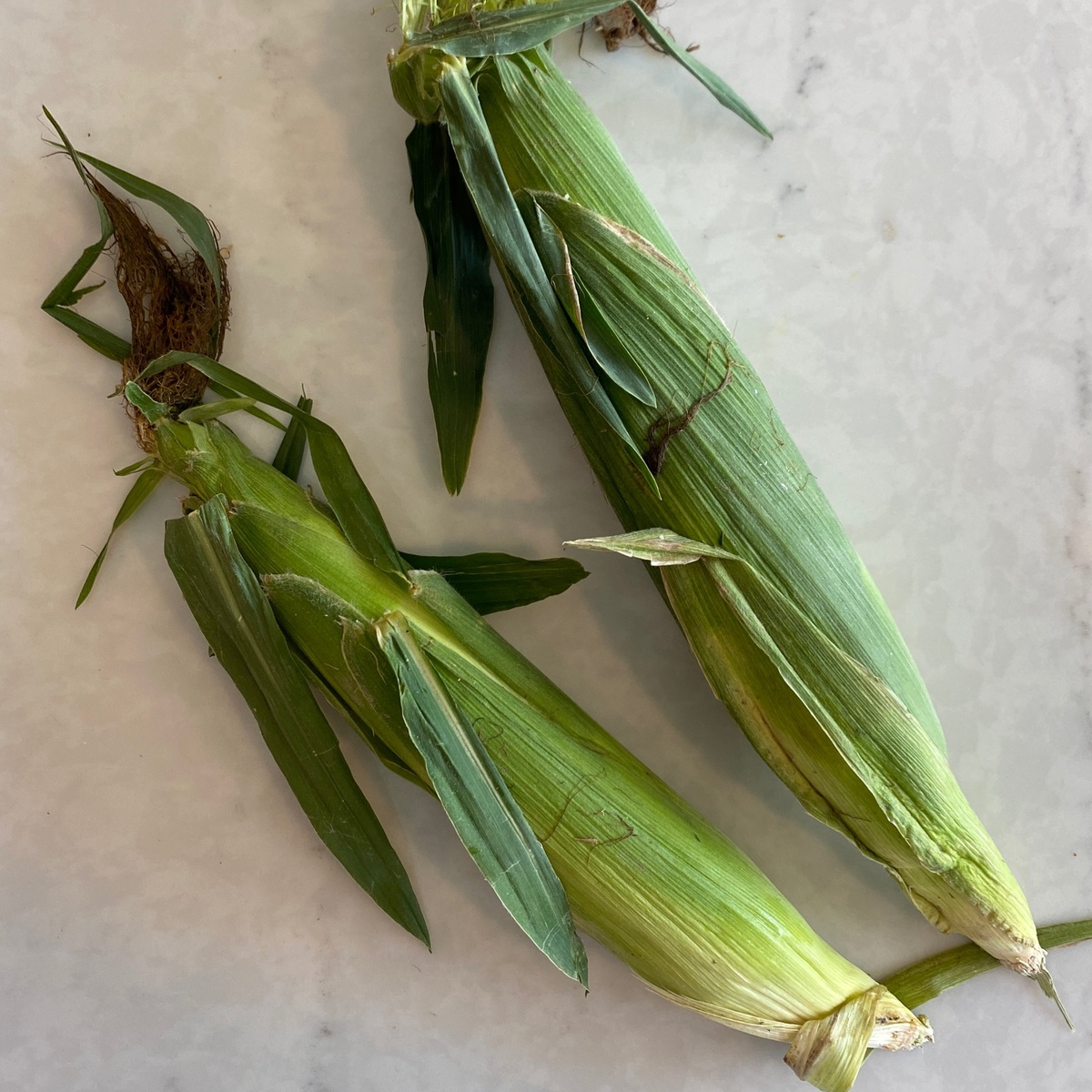 Sweet Corn (per cob) FPSWEETCORN02 Miller Dohrmann Farm Sweet Corn - image 2