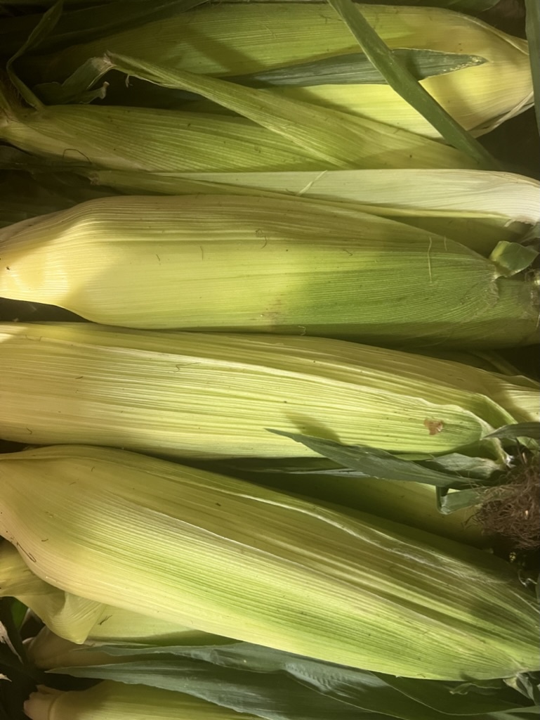 Miller Dohrmann Farm Sweet Corn