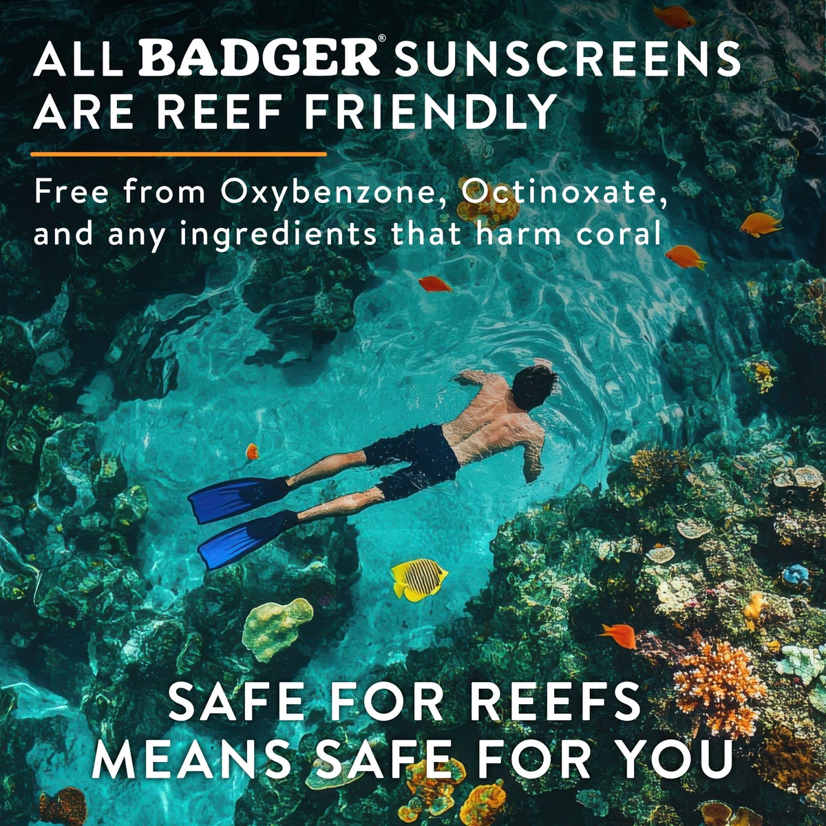 Badger - Badger Mineral Sunscreen Cream SPF 50 organic sunflower oil - image 4