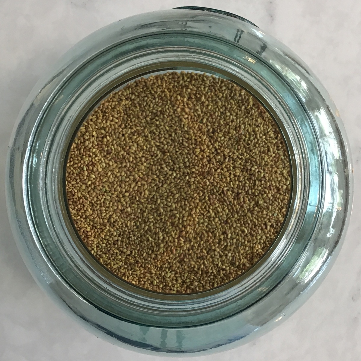 Mountain Rose Herbs Sprouting Seeds (for DIY Sprouts!), Multiple Varieties ($1.4-$4/oz)