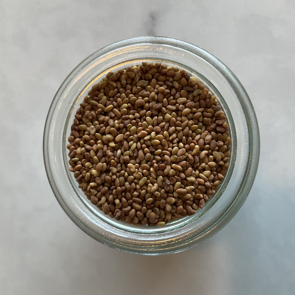Mountain Rose Herbs Sprouting Seeds (for DIY Sprouts!), Multiple Varieties ($1.4-$4/oz) - image 6