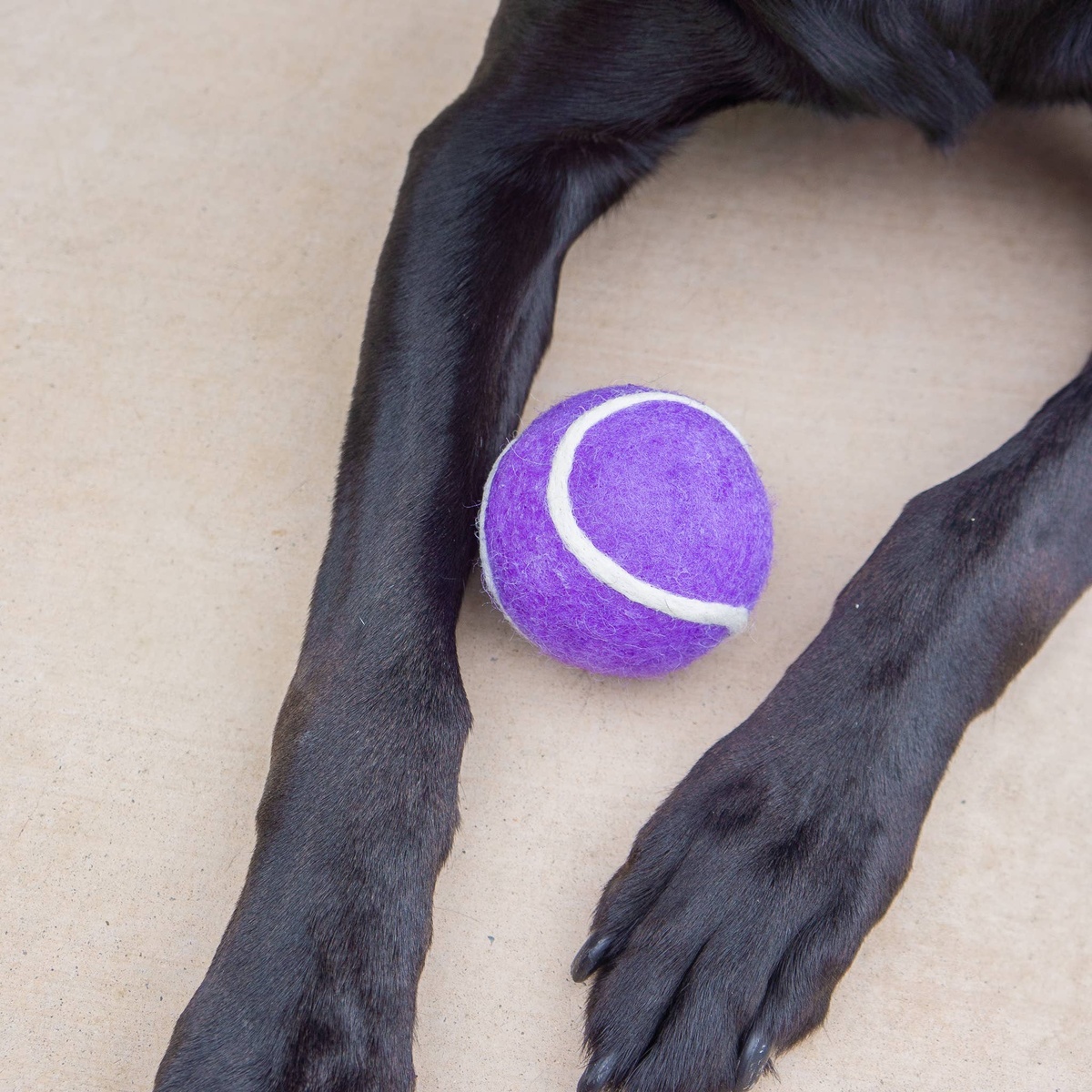 Friendsheep – Wool Tennis Ball Pet Toy Friendsheep - Wool Tennis Ball Pet Toy new zealand wool - image 19