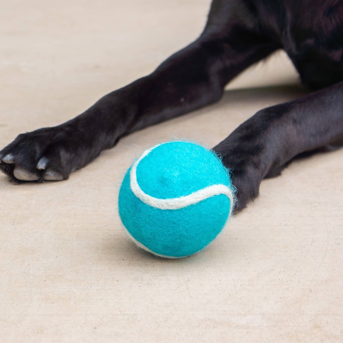 Friendsheep – Wool Tennis Ball Pet Toy Friendsheep - Wool Tennis Ball Pet Toy new zealand wool - image 9