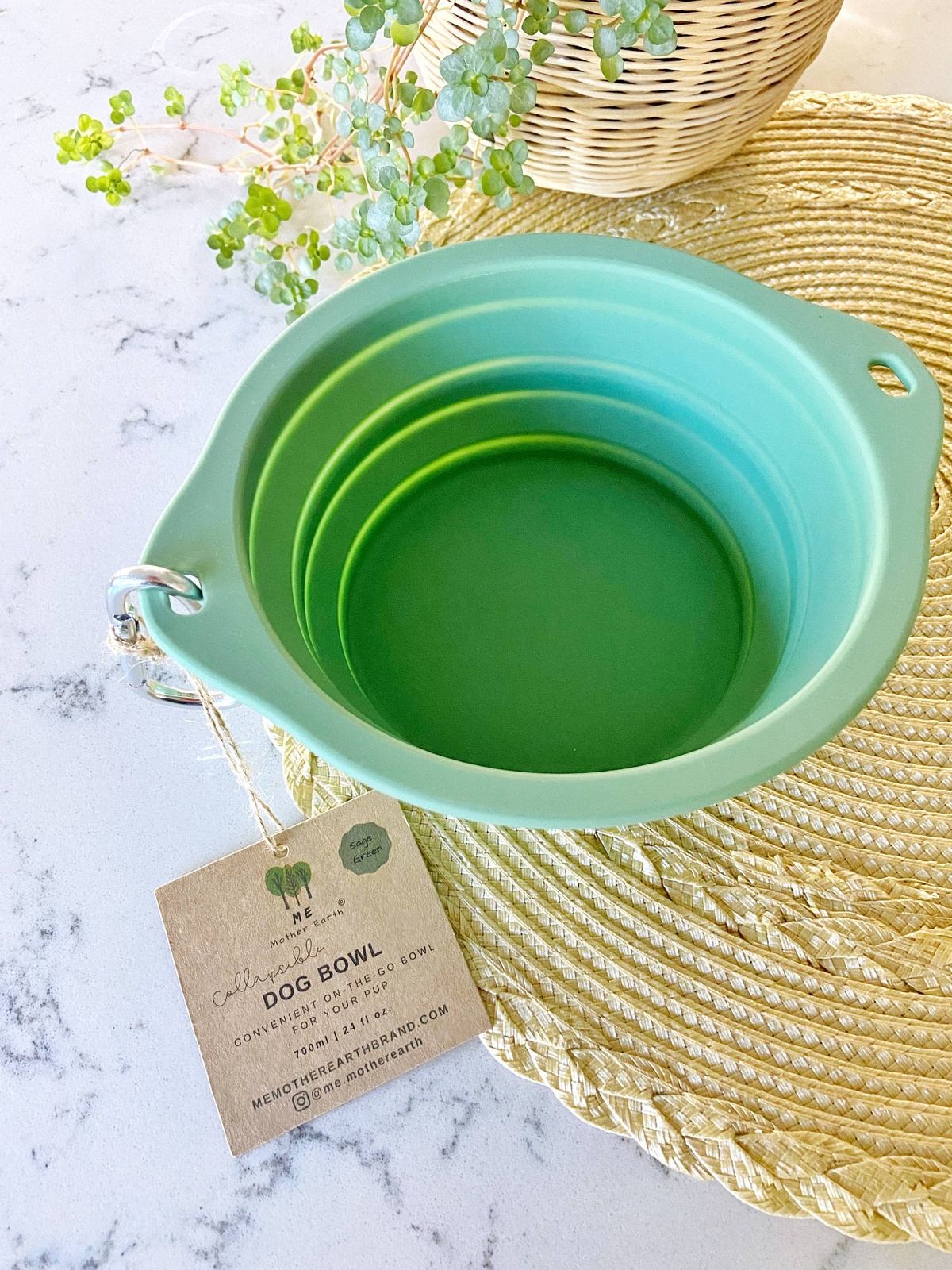 Me Mother Earth - Silicone Dog Bowl reusable - image 3