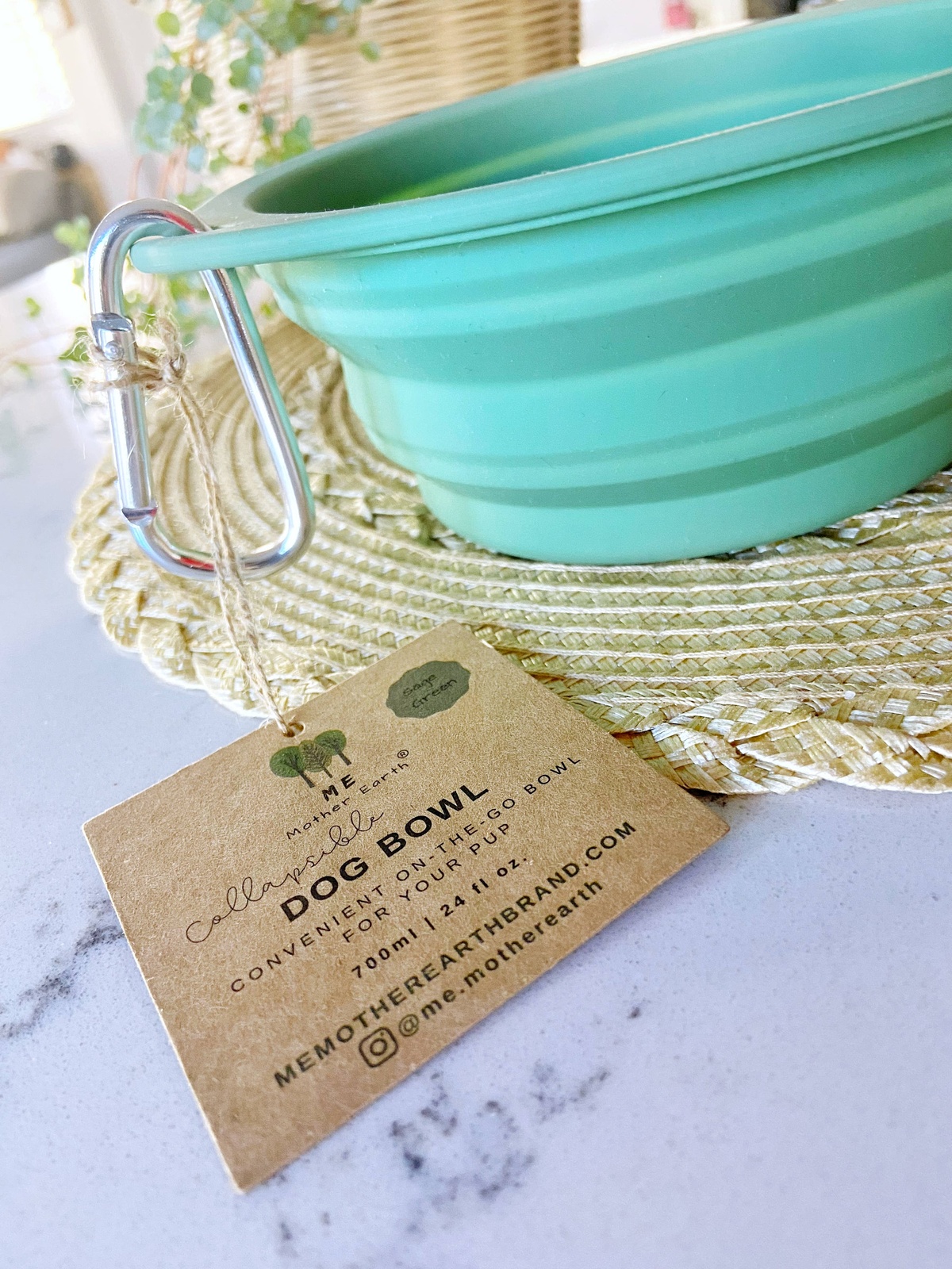 Me Mother Earth - Silicone Dog Bowl reusable - image 5