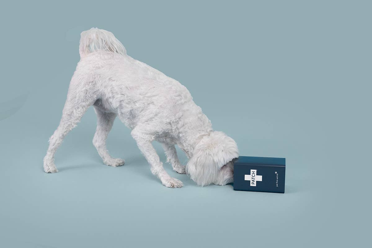 PATCH – Eco First-Aid Kit for Pets 9351347002693 Patch - Eco First-Aid Kit for Pets refillable - image 5
