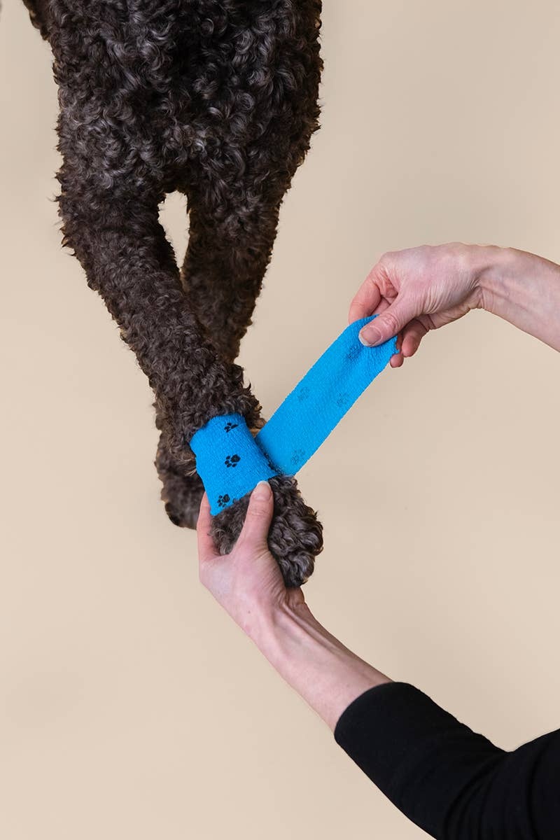 PATCH – Eco First-Aid Kit for Pets 9351347002693 Patch - Eco First-Aid Kit for Pets refillable - image 4