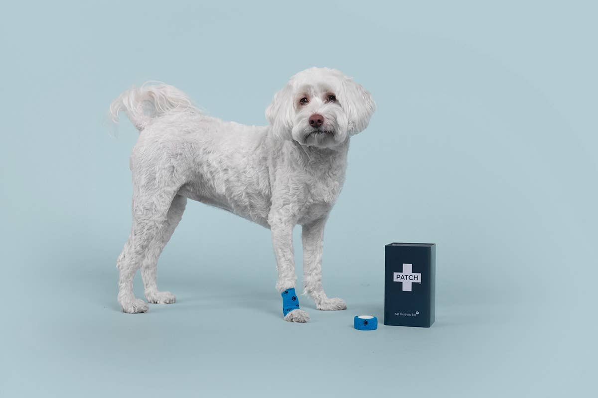 PATCH – Eco First-Aid Kit for Pets 9351347002693 Patch - Eco First-Aid Kit for Pets refillable - image 2
