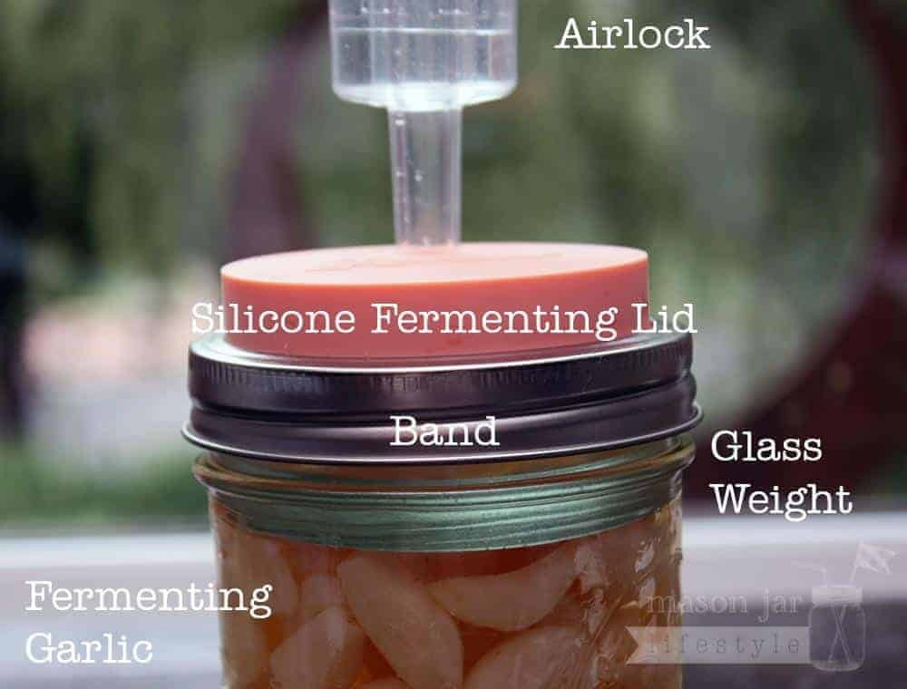 Mason Jar Lifestyle - Silicone Straw Hole Tumbler Lid with Stainless Steel Band for Mason Jars lfgb-certified - image 6