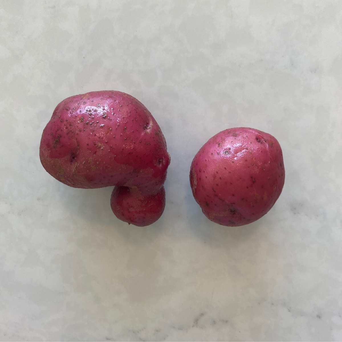 Benson Bounty New Potatoes, Red organic from colorado