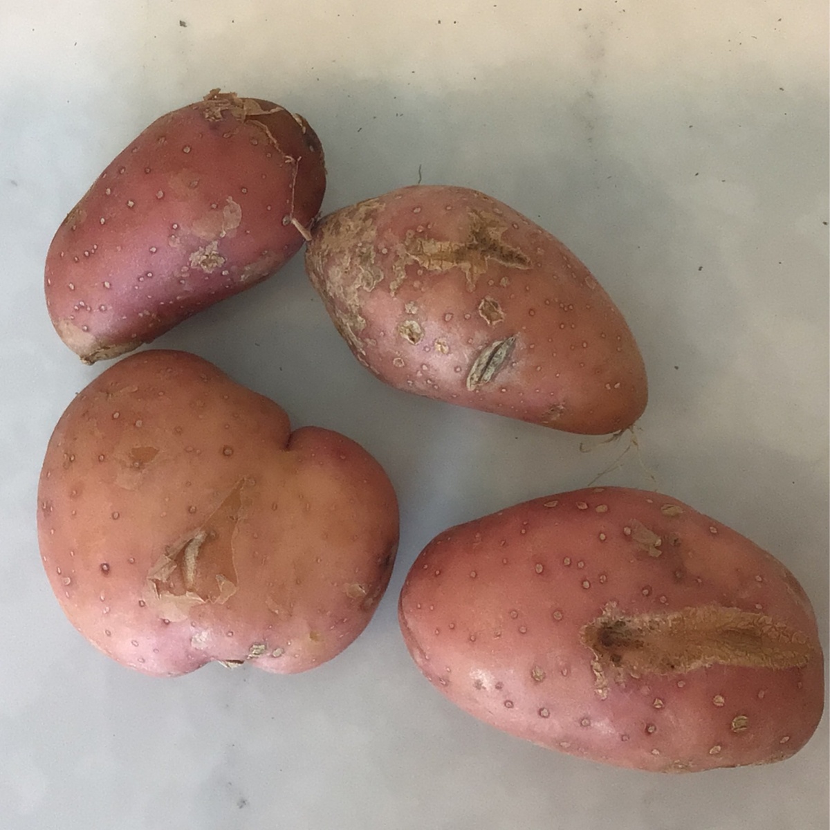 Z Farm Potatoes, French Fingerling