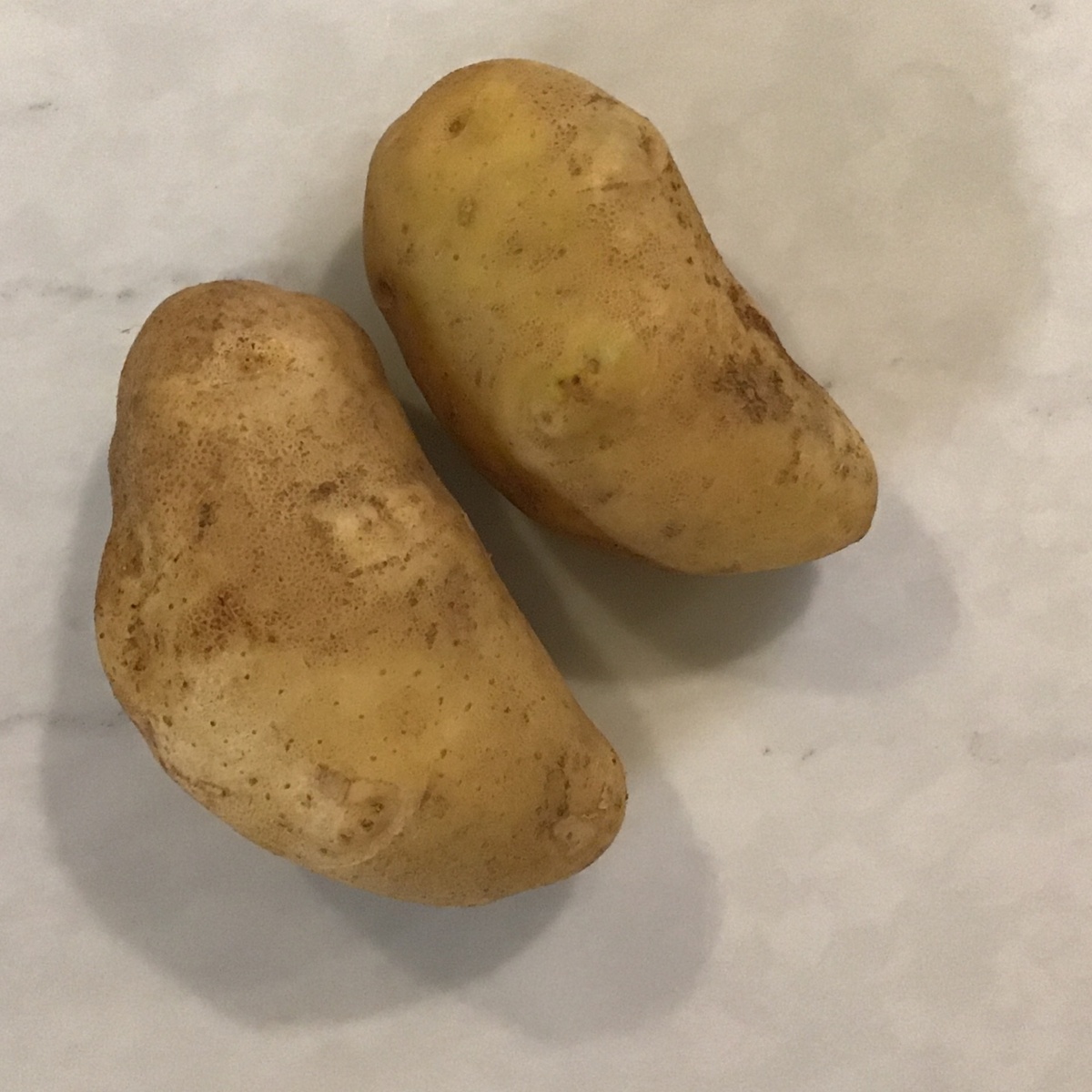 Wolff Farms Potatoes, Kennebec (White)