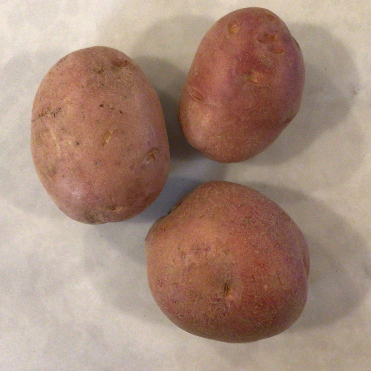 Wolff Farms Potatoes, Red, Organic
