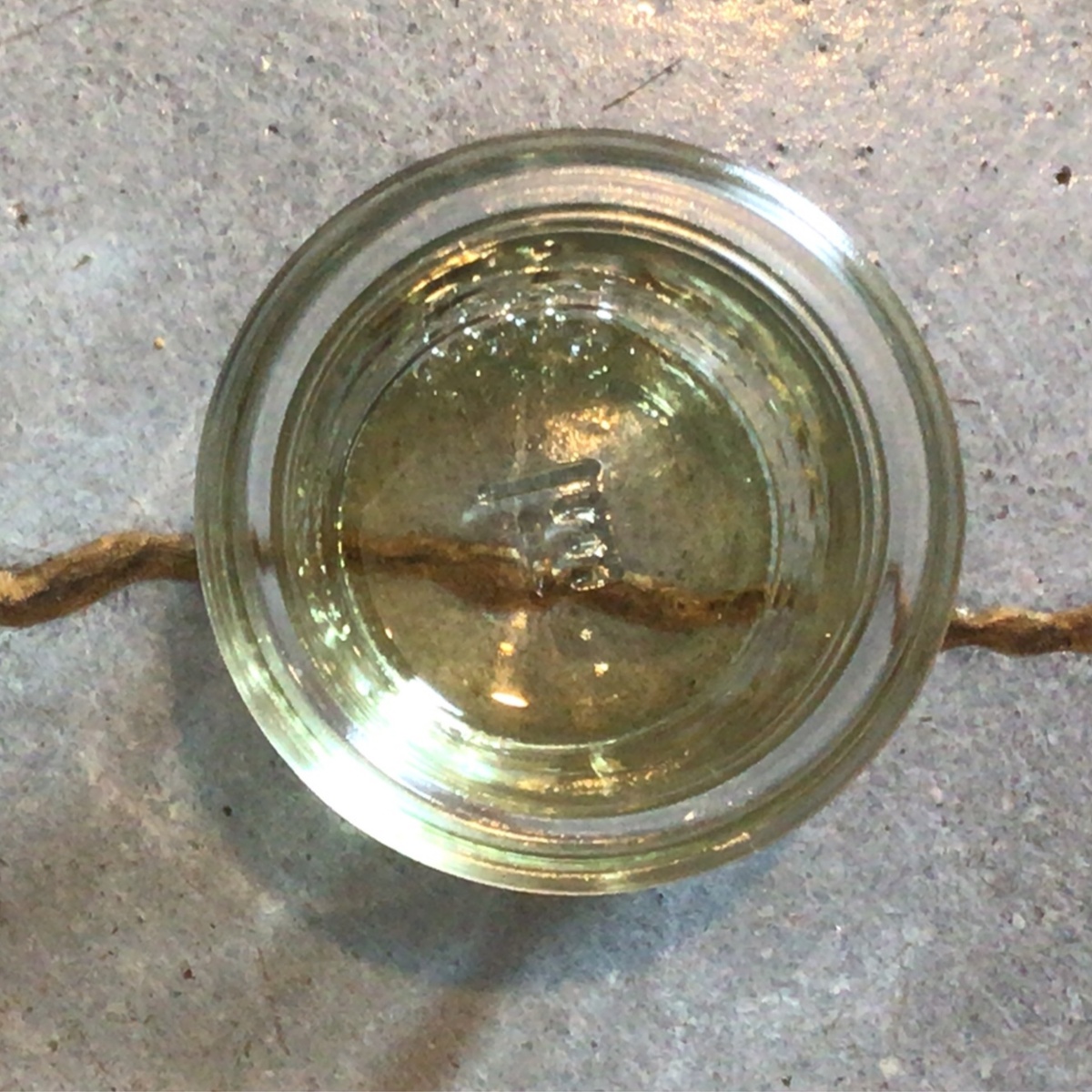 Bulk Apothecary Clove Bud Essential Oil (CB)