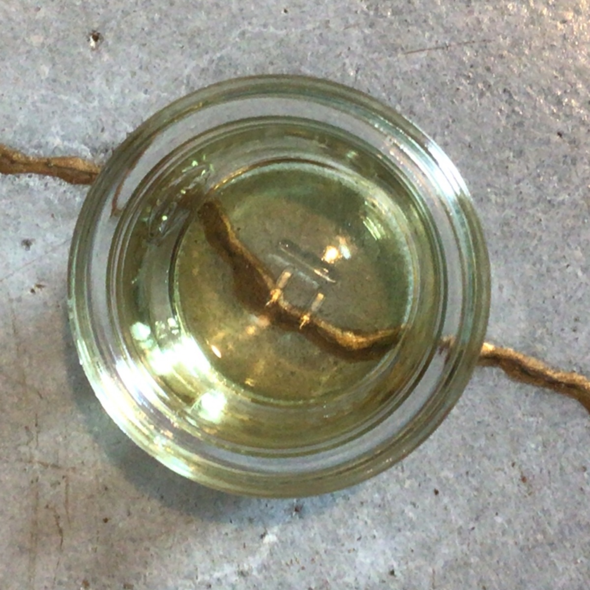Bulk Apothecary Ginger Essential Oil (G)
