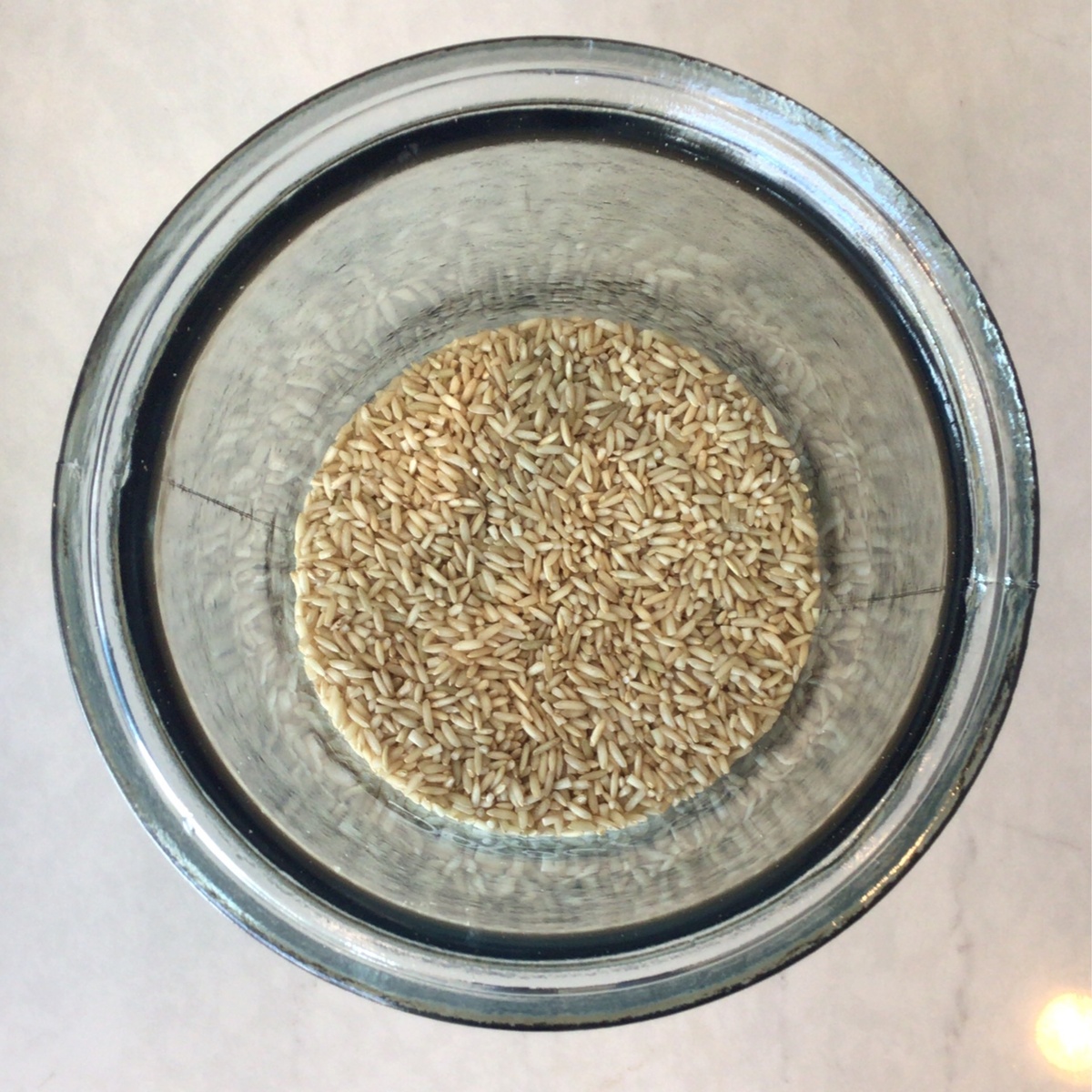 Brown Rice, Sprouted Basmati BGGBBR001 Azure Standard Brown Rice, Sprouted Basmati