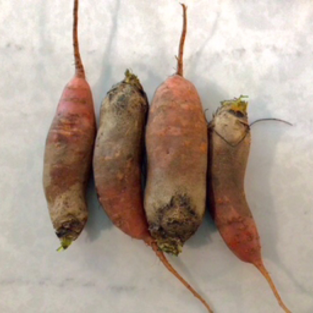 Long Walk Farm Beets, Badger Flame