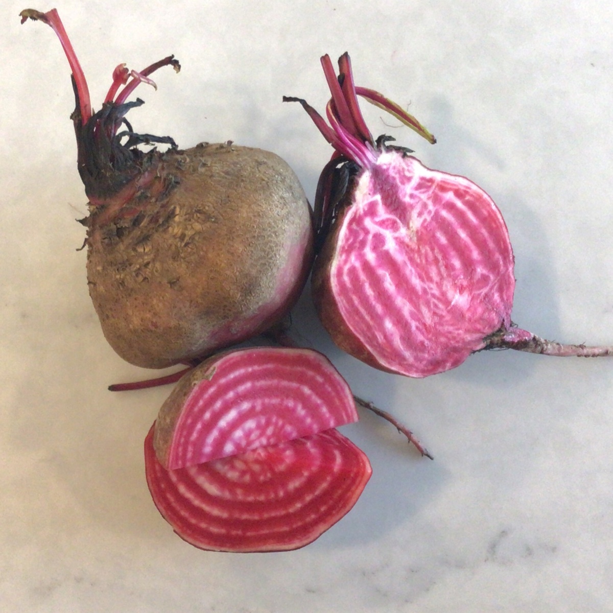 Flavor Country Farm Beets, Chioggia or Candy Cane