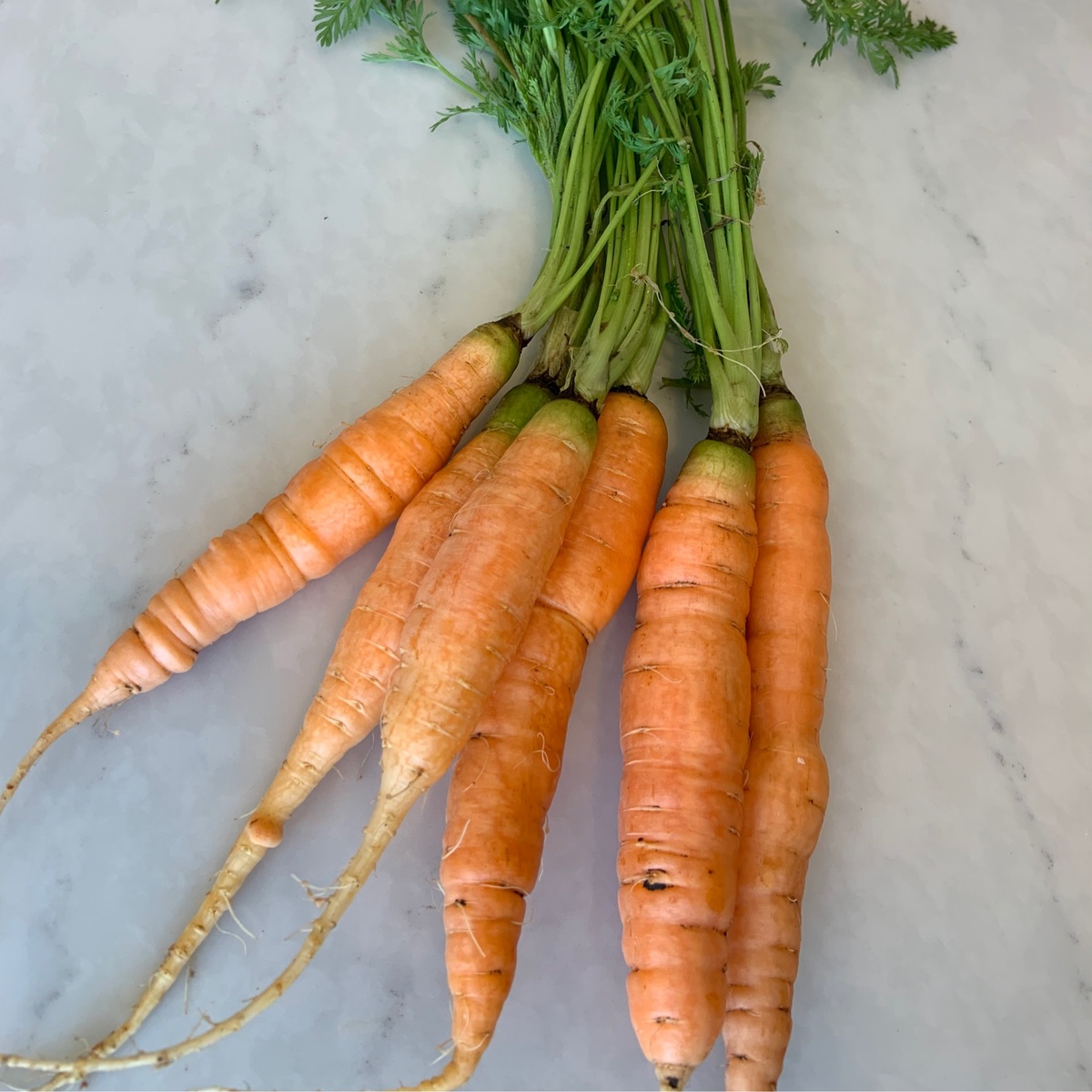 Pekarek's Produce Carrots, Orange