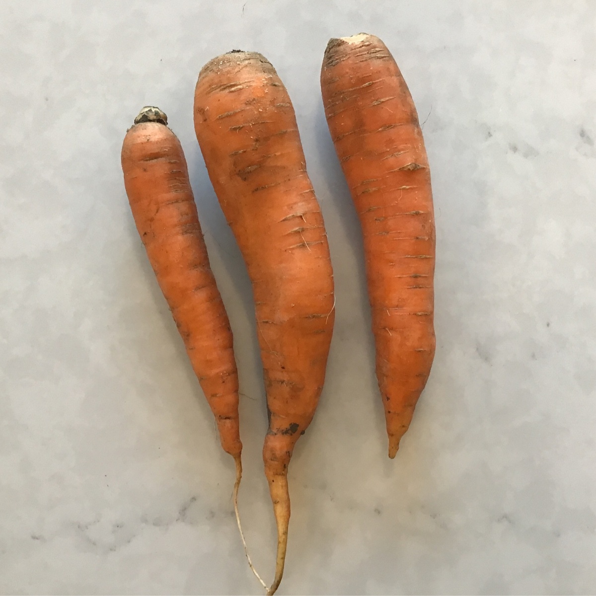 Pekarek's Produce Carrots, Orange