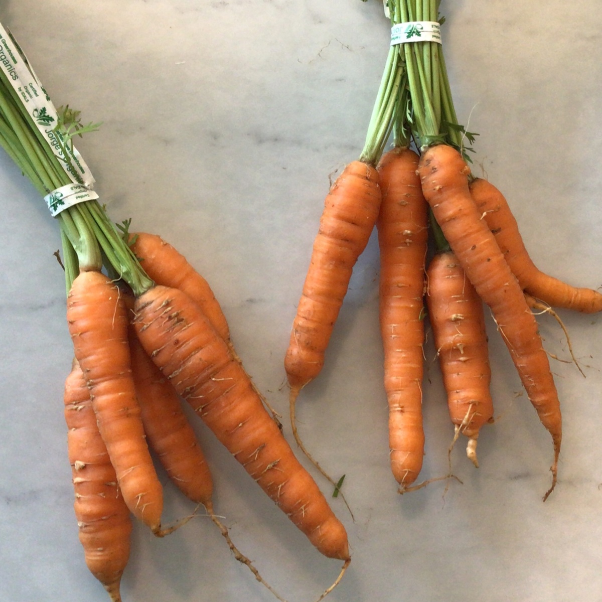 Wolff Farms Carrots, Organic, with Greens