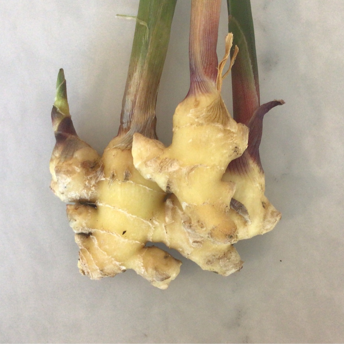 Long Walk Farm Fresh Ginger, Local ($1.50/oz)
