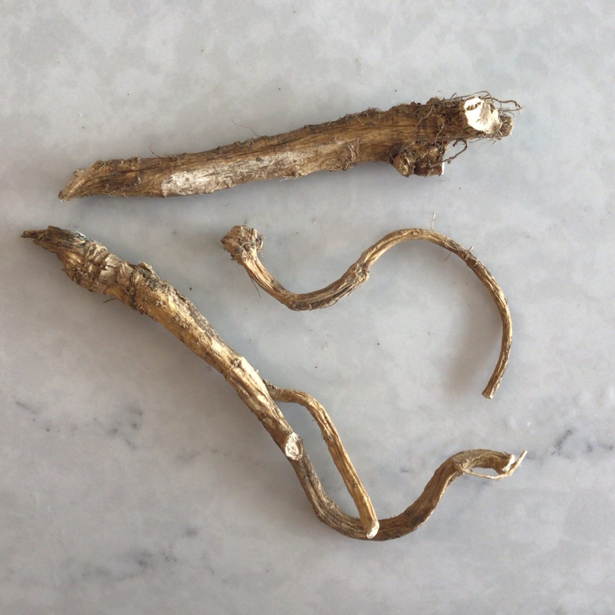 Azure Standard Horseradish, Fresh Root, Organic ($1/oz)