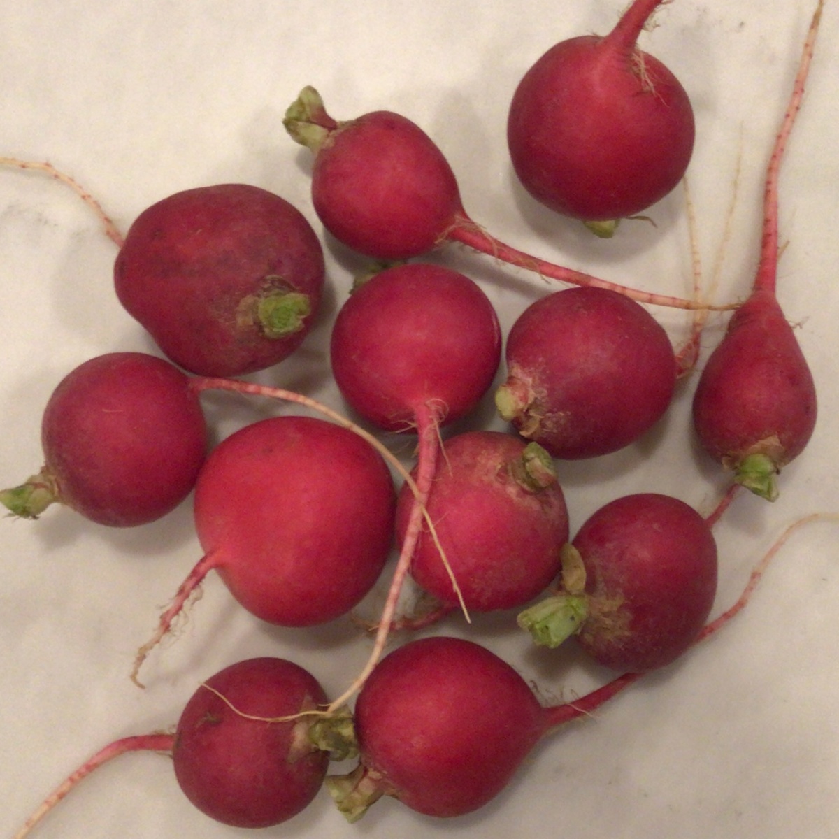 Robinette Farms Radishes, Red, Organic