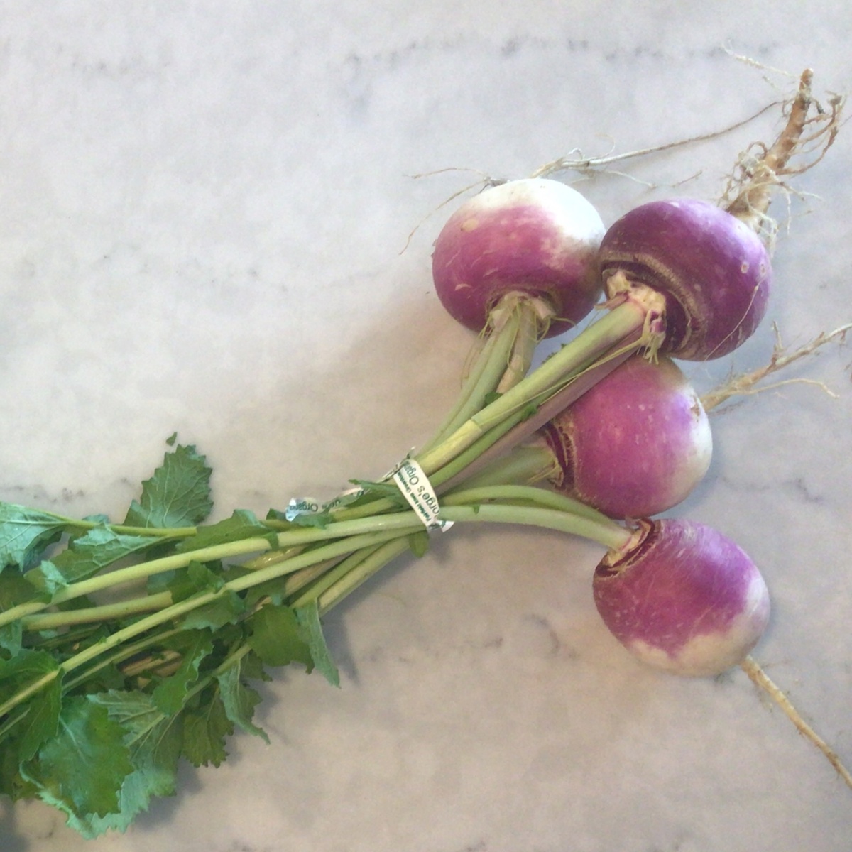 Long Walk Farm Turnips, Pink (no tops)