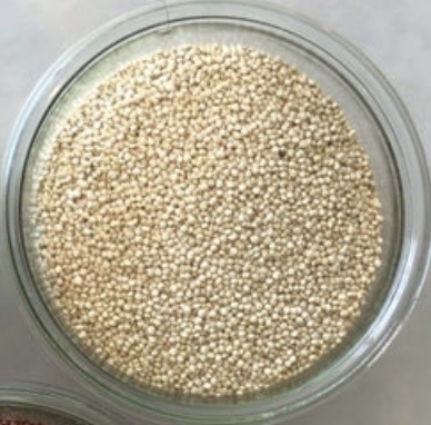 Quinoa Azure Standard Quinoa gluten-free - image 2