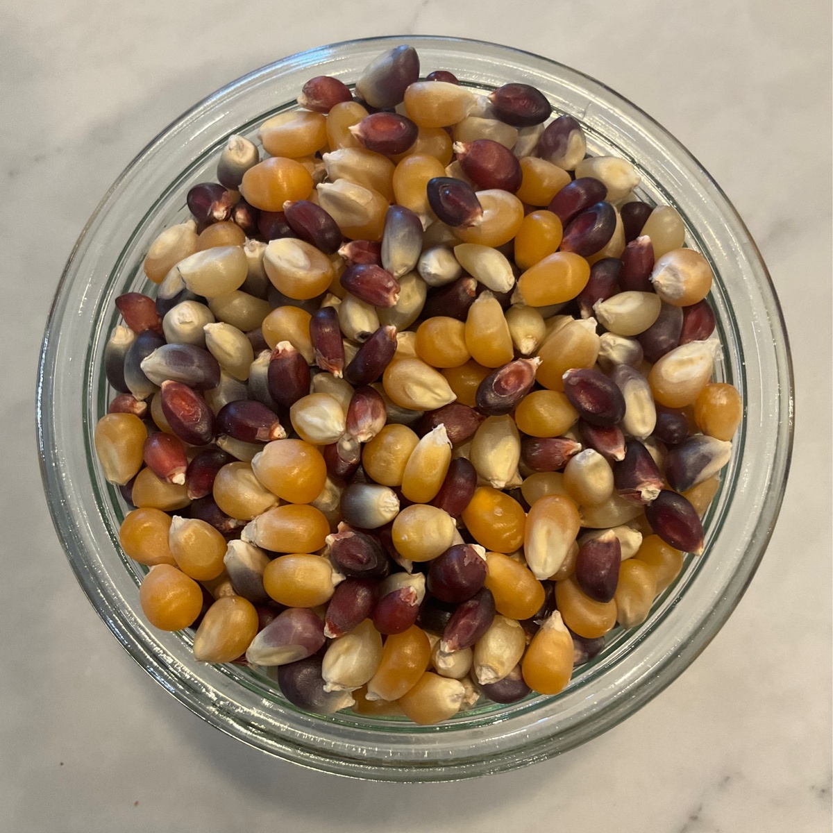 Hummingbird Wholesale Popcorn, Multicolored natural methods