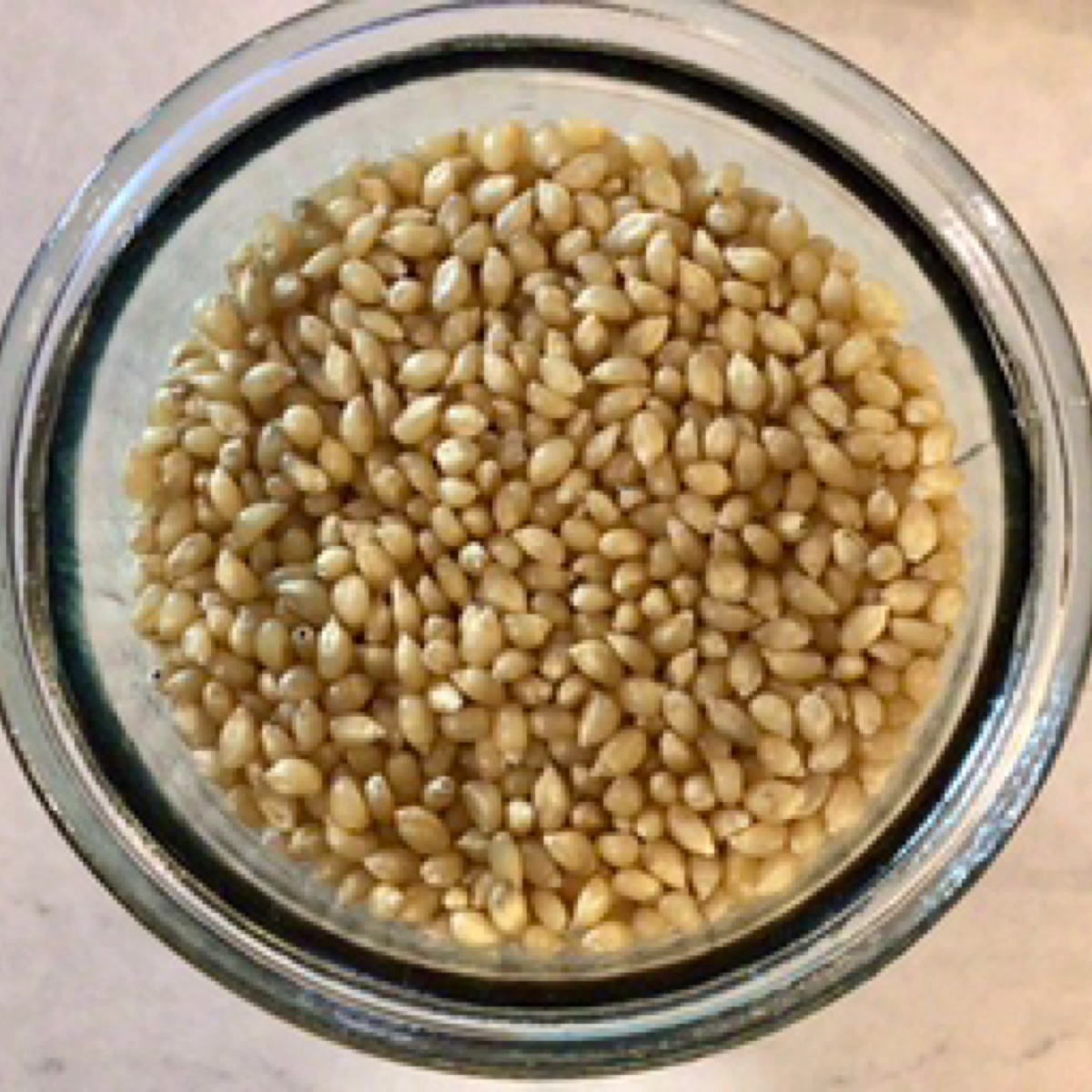 Azure Standard Popcorn, White