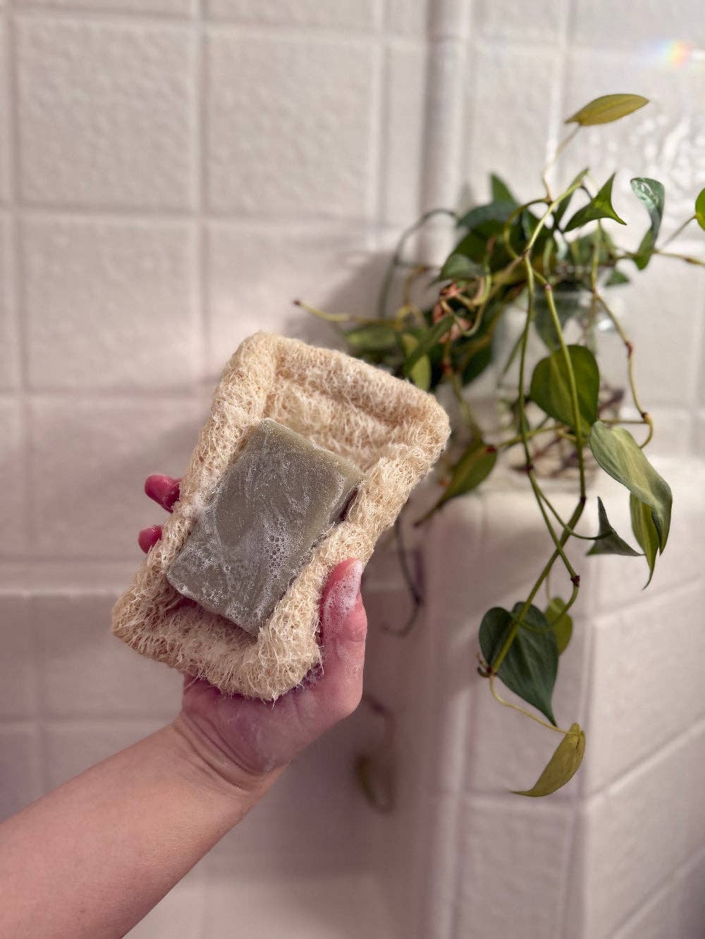Me Mother Earth – Natural Loofah Soap Dish 850046923326 Me Mother Earth - Natural Loofah Soap Dish whole loofah plant - image 4