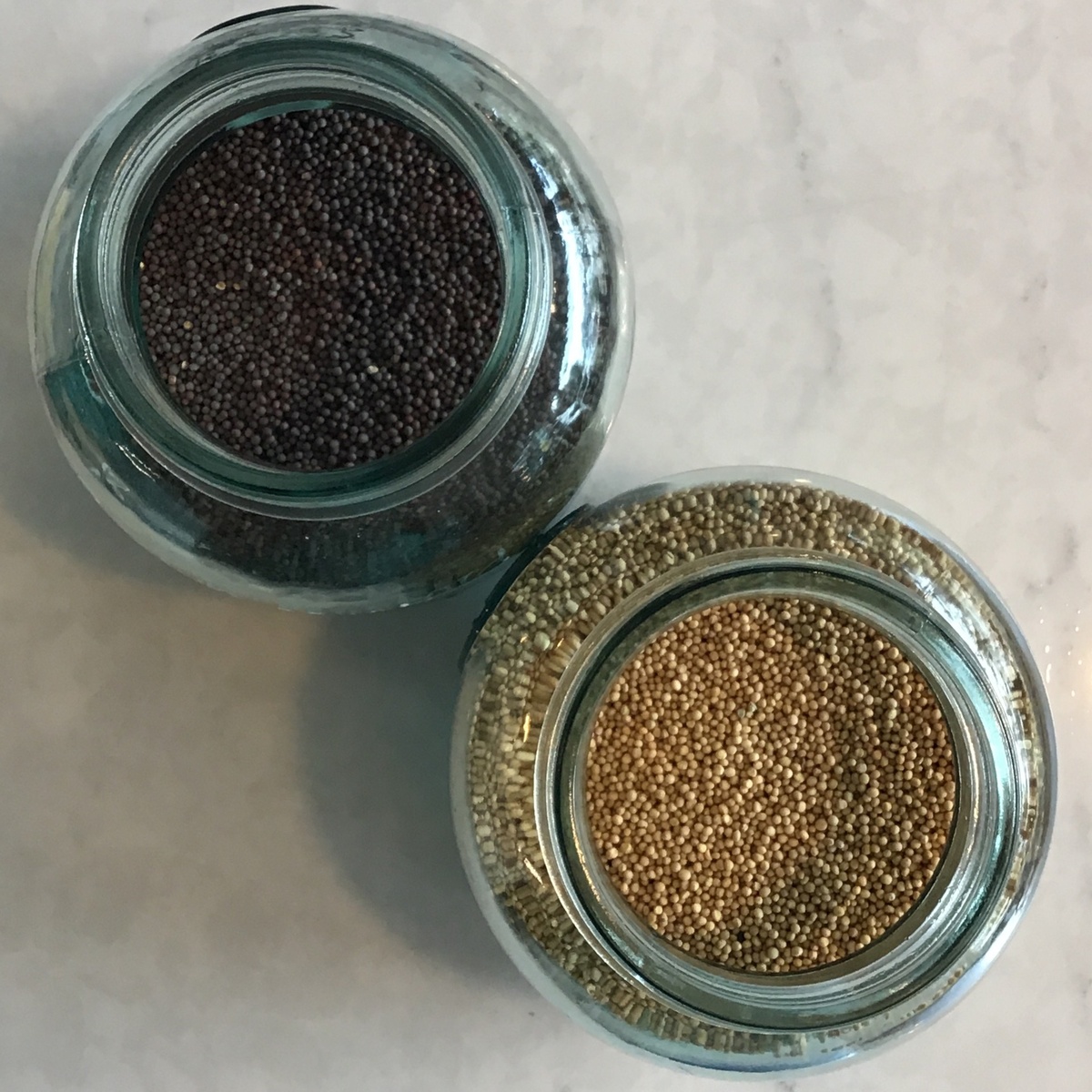 Mountain Rose Herb Mustard Seed, Yellow (90c/oz)