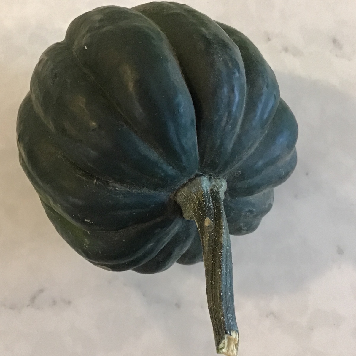 Pekarek's Produce Squash, Acorn (each) organic produce