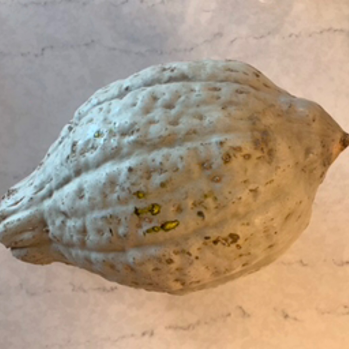 Stateline Produce Squash, Baby Blue Hubbard