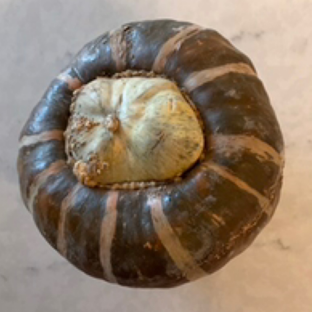 Pekarek's Produce Squash, Buttercup
