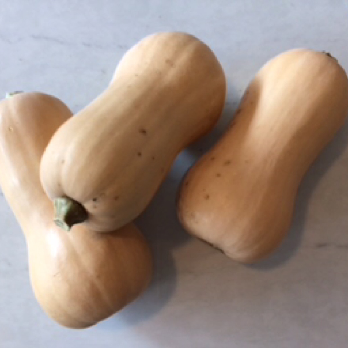 State Line Produce Squash, Butternut organic produce