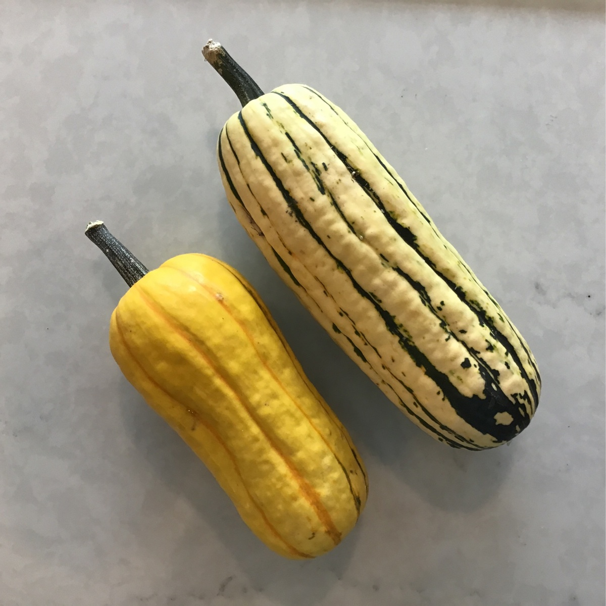State Line Produce Squash, Delicata organic produce