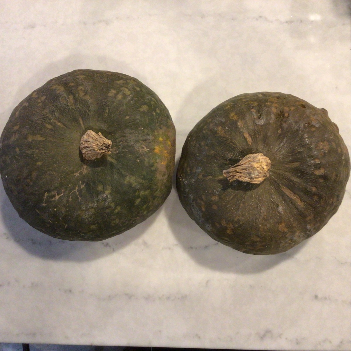 Pekarek's Produce Squash, Kabocha, Red and Green organic produce