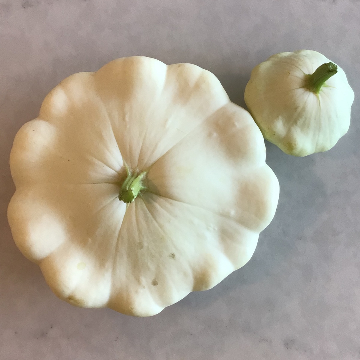 Long Walk Farm Squash, Patty Pan - image 2